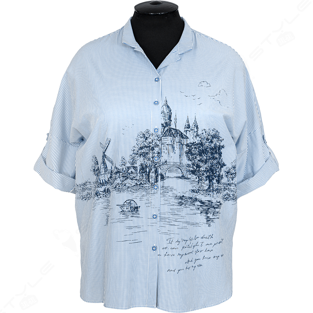 ������� ������� ARAS