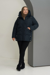    PoliNika 3