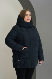    PoliNika 5