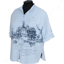 ������� ������� ARAS 1