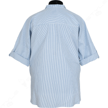 ������� ������� ARAS 2