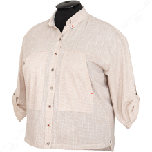 ������� ������� ARAS 1