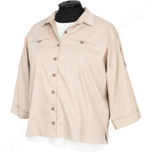 ������� � ��������� Aras 1