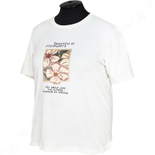 ������� � ��������� Aras 5