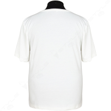 ������� � ��������� Aras 6