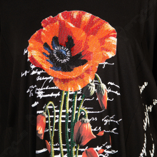 ������� ��������  SINYORA 3